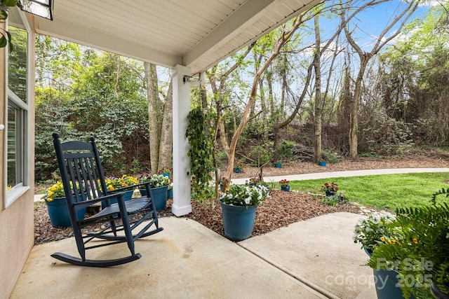 view of patio / terrace with covered porch