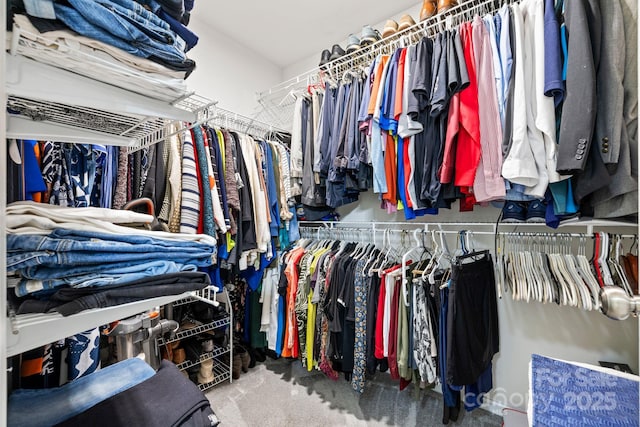 walk in closet featuring carpet flooring