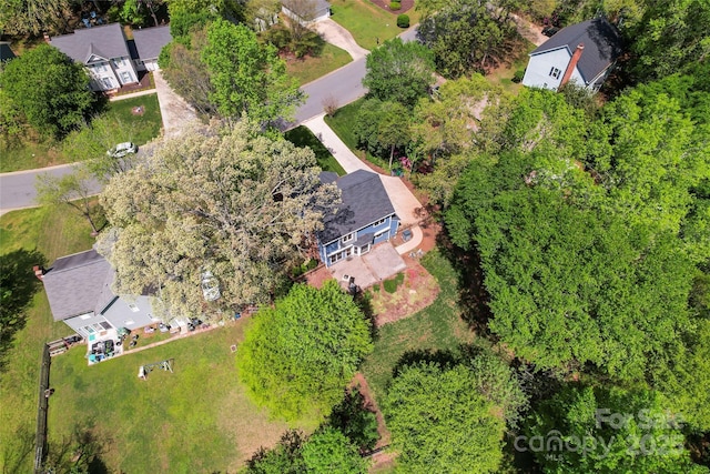 bird's eye view