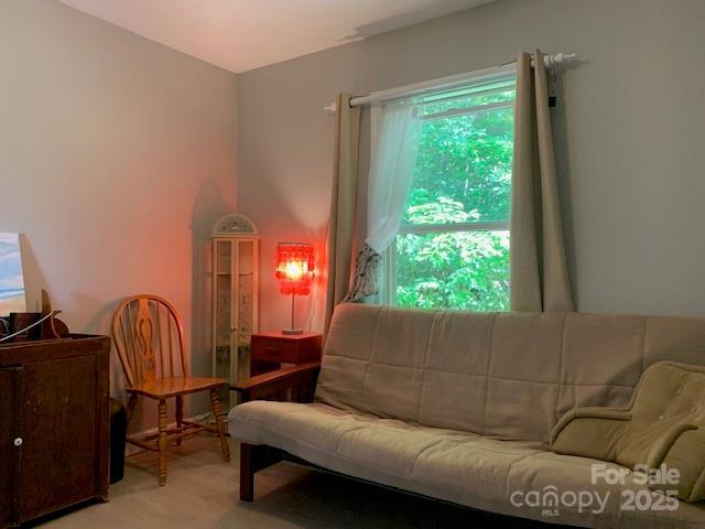 1474 Holiday Drive 14 & 15, Hendersonville, NC 28739 - living area with carpet