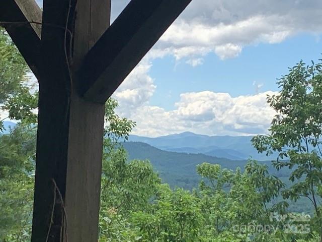1474 Holiday Drive 14 & 15, Hendersonville, NC 28739 - view of mountain background