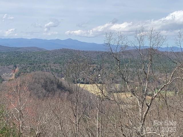 1474 Holiday Drive 14 & 15, Hendersonville, NC 28739 - view of mountain backdrop