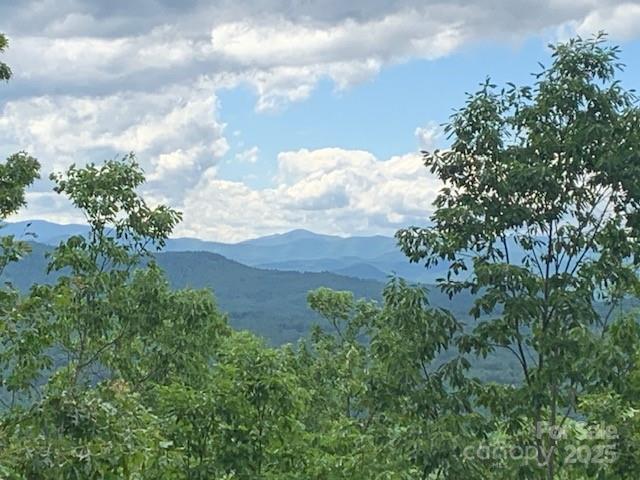 1474 Holiday Drive 14 & 15, Hendersonville, NC 28739 - view of mountain backdrop