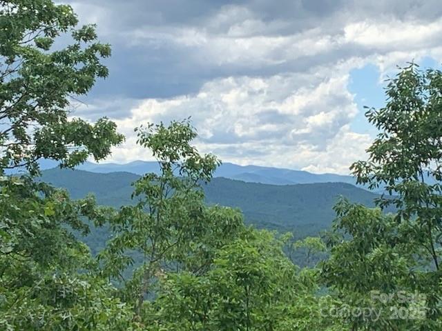 1474 Holiday Drive 14 & 15, Hendersonville, NC 28739 - mountain view