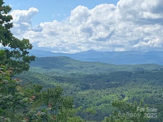 1474 Holiday Drive 14 & 15, Hendersonville, NC 28739 - view of mountain background featuring a forest