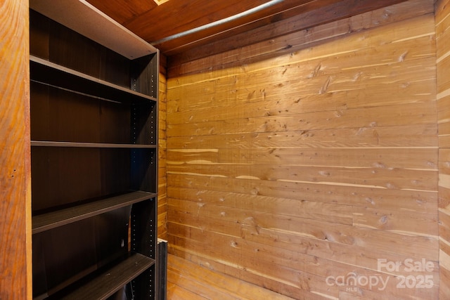 67 Montana Ave, Asheville, NC 28806 - view of walk in closet