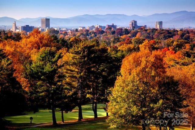288 Macon Ave Unit 108, Asheville, NC 28804 - mountain view featuring a view of city