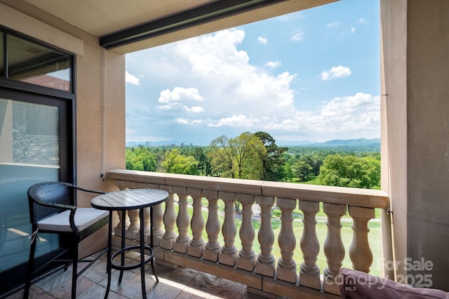 288 Macon Ave Unit 108, Asheville, NC 28804 - view of balcony
