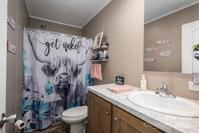 980 Lakeland Ave, Lincolnton, NC 28092 - bathroom with a textured ceiling, ornamental molding, toilet, vanity, and a shower with curtain
