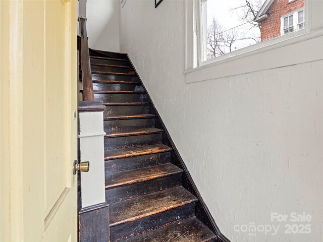 21 Bearden Ave, Asheville, NC 28801 - photo 14