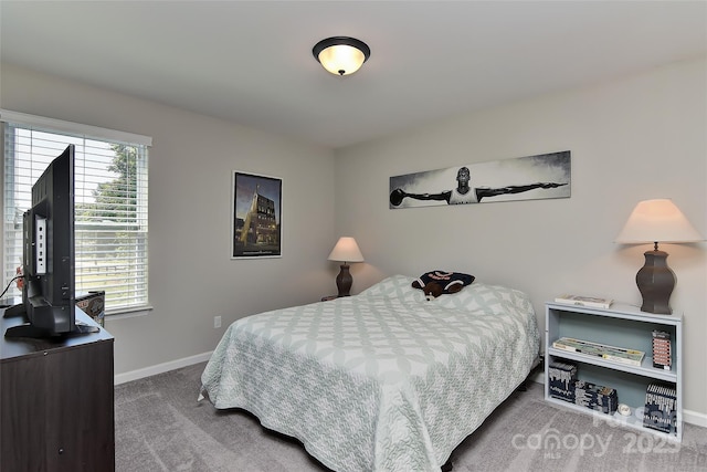 15035 Ockeechobee Ct, Mint Hill, NC 28227 - bedroom with baseboards and carpet flooring