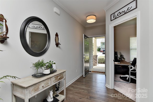 15035 Ockeechobee Ct, Mint Hill, NC 28227 - entrance foyer with ornamental molding, dark wood-style floors, and baseboards