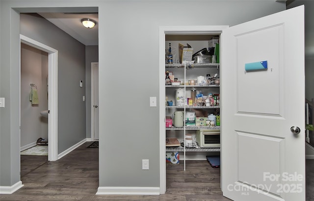 15035 Ockeechobee Ct, Mint Hill, NC 28227 - view of pantry