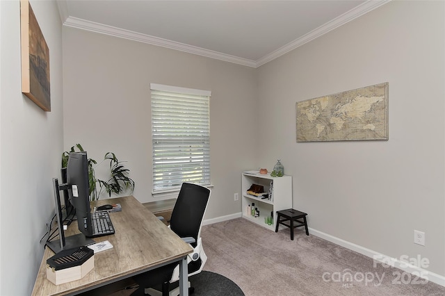 15035 Ockeechobee Ct, Mint Hill, NC 28227 - home office featuring ornamental molding, carpet floors, and baseboards