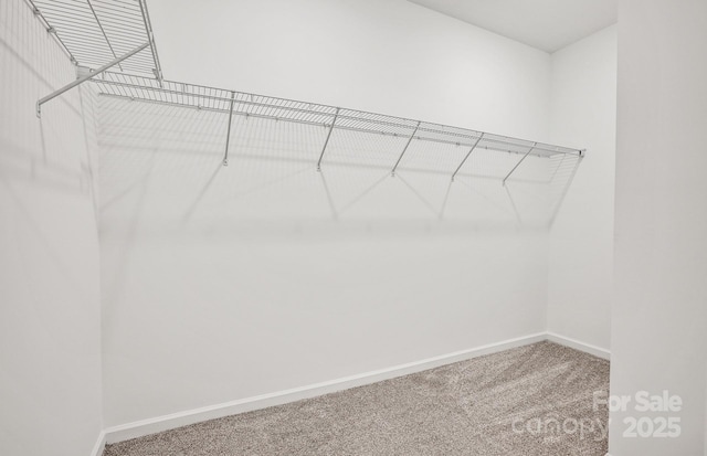 13756 Roderick Dr Unit 176, Huntersville, NC 28078 - walk in closet with carpet