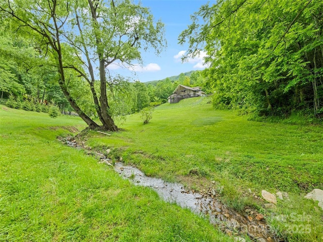 234 Bird Creek Dr, Waynesville, NC 28786 - view of grassy yard