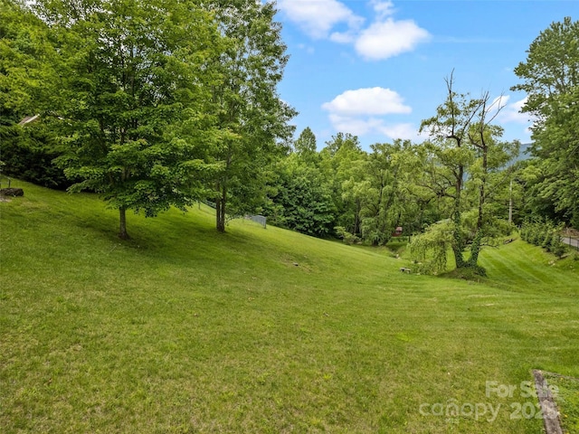 234 Bird Creek Dr, Waynesville, NC 28786 - view of green lawn