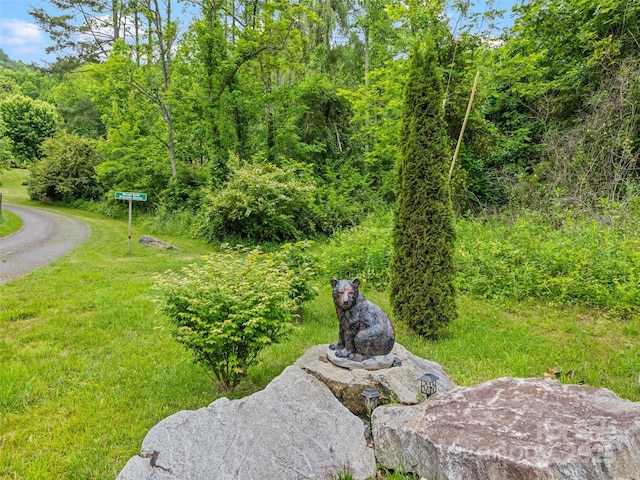 234 Bird Creek Dr, Waynesville, NC 28786 - view of yard