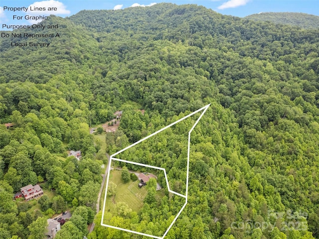 234 Bird Creek Dr, Waynesville, NC 28786 - aerial view of property and surrounding area with a forest, property parcel outlined, and mountains
