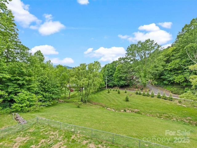 234 Bird Creek Dr, Waynesville, NC 28786 - view of yard with a view of rural / pastoral area