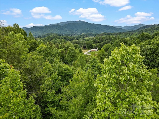 234 Bird Creek Dr, Waynesville, NC 28786 - mountain view featuring a heavily wooded area