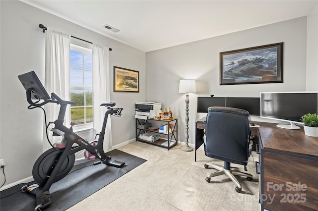 office featuring baseboards and carpet