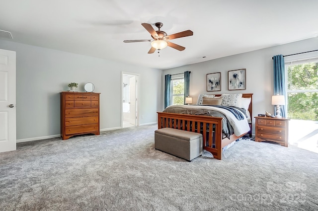 517 Bertram Rd, Fort Mill, SC 29708 - carpeted bedroom featuring baseboards, multiple windows, and ceiling fan