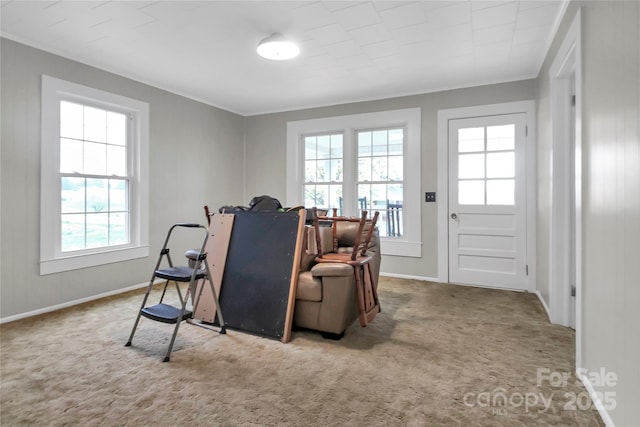 living area featuring carpet flooring, crown molding, and baseboards