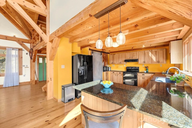 35 Great Aspen Way, Black Mountain, NC 28711 - kitchen featuring black appliances, light wood-style floors, beam ceiling, a peninsula, and under cabinet range hood