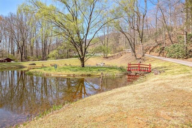 35 Great Aspen Way, Black Mountain, NC 28711 - water view