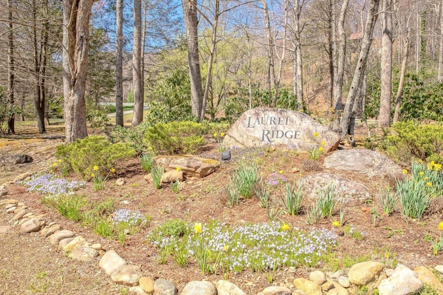 35 Great Aspen Way, Black Mountain, NC 28711 - view of community sign