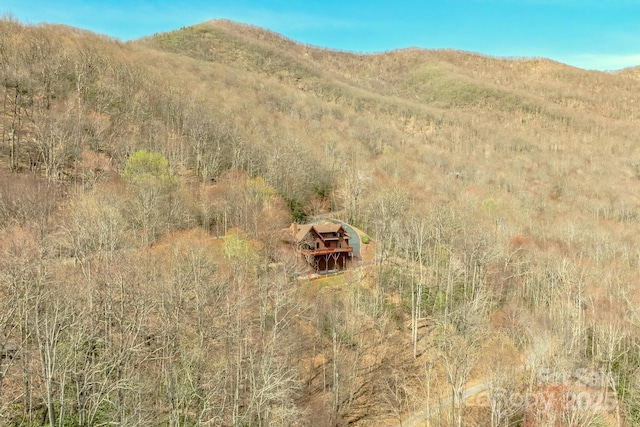 35 Great Aspen Way, Black Mountain, NC 28711 - mountain view