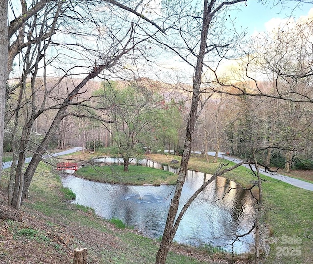 35 Great Aspen Way, Black Mountain, NC 28711 - water view