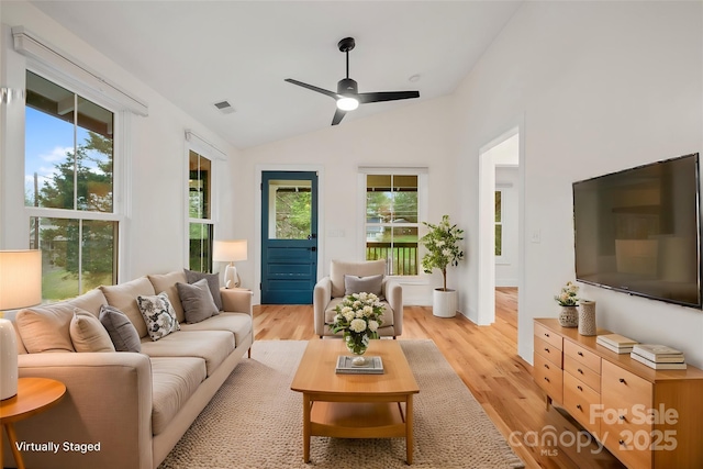 622 Reed St, Asheville, NC 28803 - photo 6