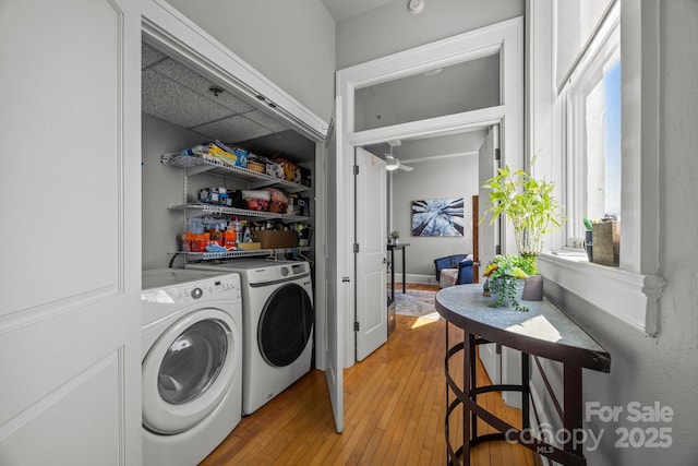 84 W Walnut St Unit 405, Asheville, NC 28801 - photo 31