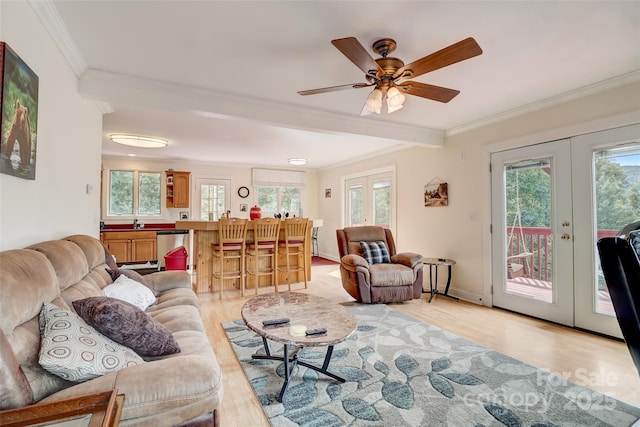 living area featuring crown molding, french doors, and a wealth of natural light