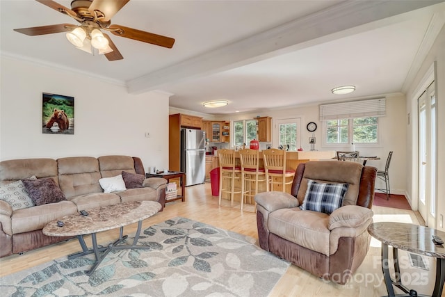 living room featuring crown molding, a ceiling fan, beam ceiling, and light wood-type flooring