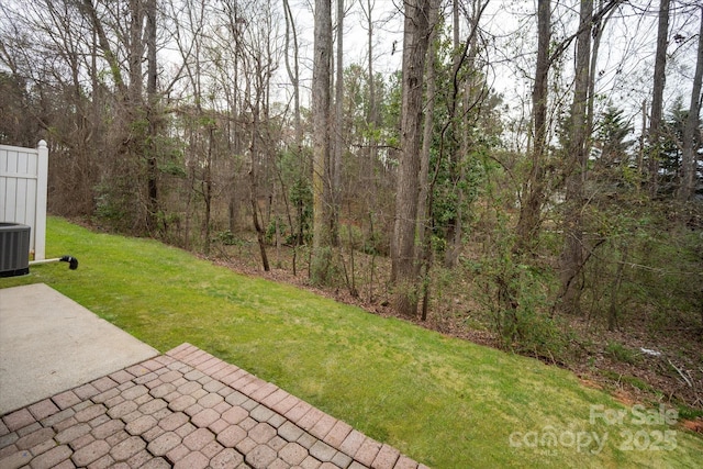 view of yard featuring a patio area