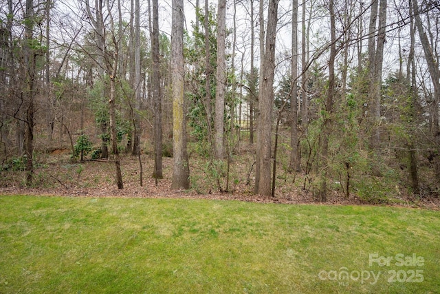 view of yard featuring a view of trees