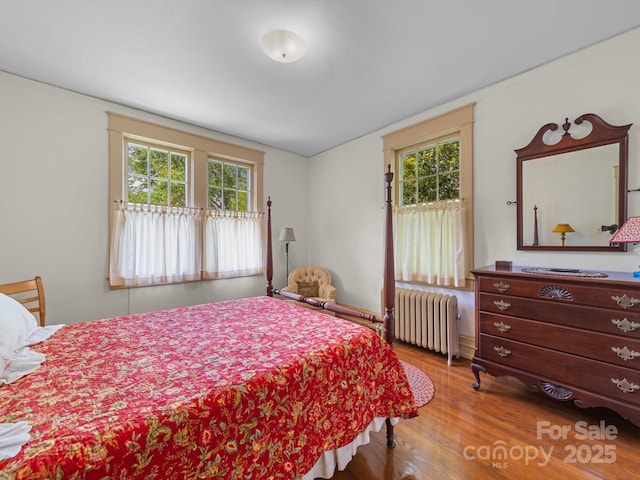bedroom with radiator, wood finished floors, and multiple windows