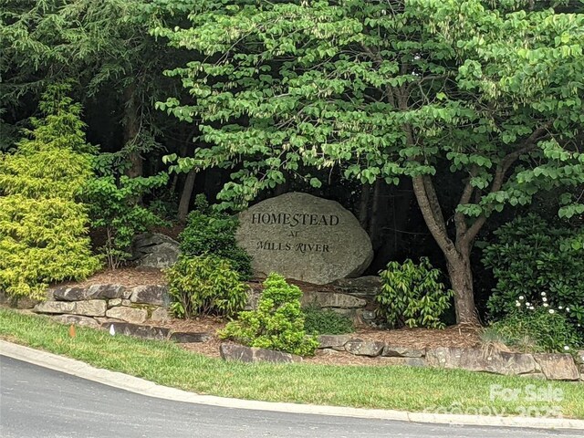 99999 Mills River Way Unit 107, Mills River, NC 28742 - photo 6