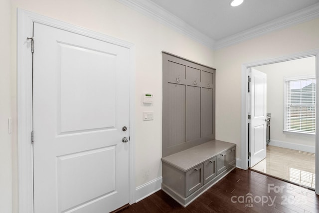 1012 Harper Lee Dr, Newton, NC 28658 - mudroom featuring baseboards, crown molding, and dark wood finished floors