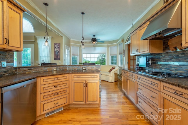 59 Carriage Highlands Ct, Hendersonville, NC 28791 - kitchen featuring light wood-style flooring, stainless steel appliances, under cabinet range hood, tasteful backsplash, and ornamental molding