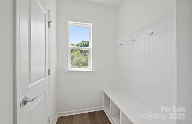 mudroom featuring baseboards and dark wood-type flooring