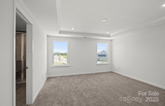 empty room with a tray ceiling, a healthy amount of sunlight, carpet flooring, and baseboards