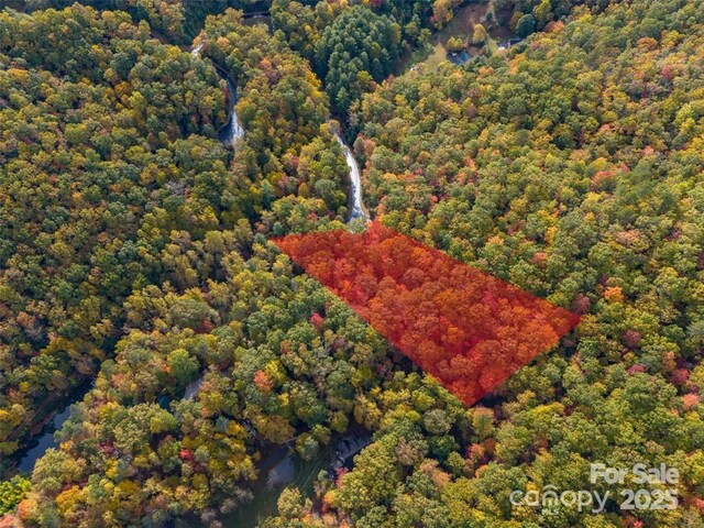 99999 Caddis Ln Unit 91, Mills River, NC 28742 - photo 4