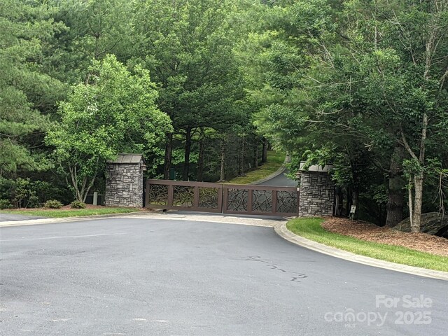 99999 Caddis Ln Unit 91, Mills River, NC 28742 - photo 7