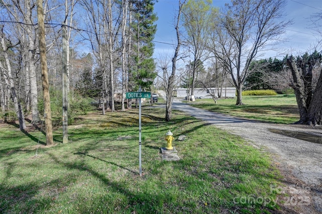 29 Delta Dr, Hendersonville, NC 28792 - photo 36