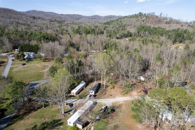 29 Delta Dr, Hendersonville, NC 28792 - photo 46