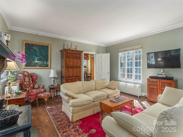 250 Kimberly Ave, Asheville, NC 28804 - living room featuring radiator, baseboards, ornamental molding, and hardwood / wood-style floors